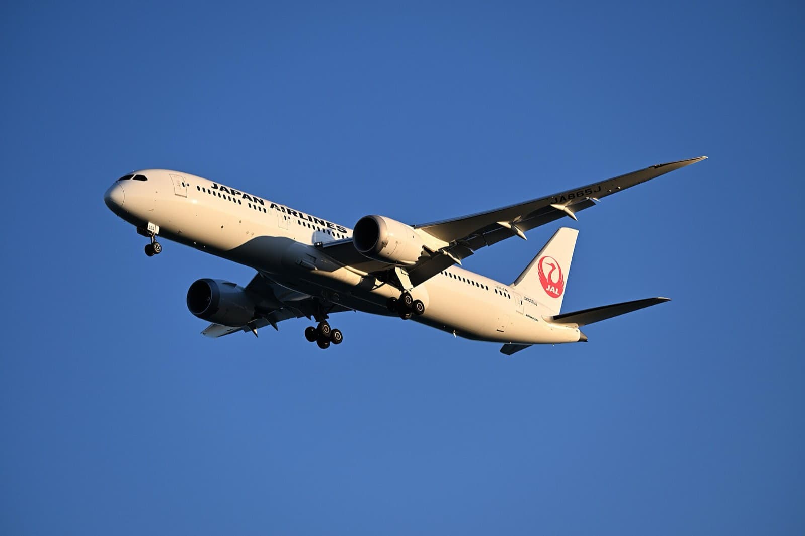 青空を背景に着陸脚を下ろして進入する日本航空のボーイング787-9型機。尾翼に赤い鶴丸、胴体にJAPAN AIRLINESの文字が入っている
